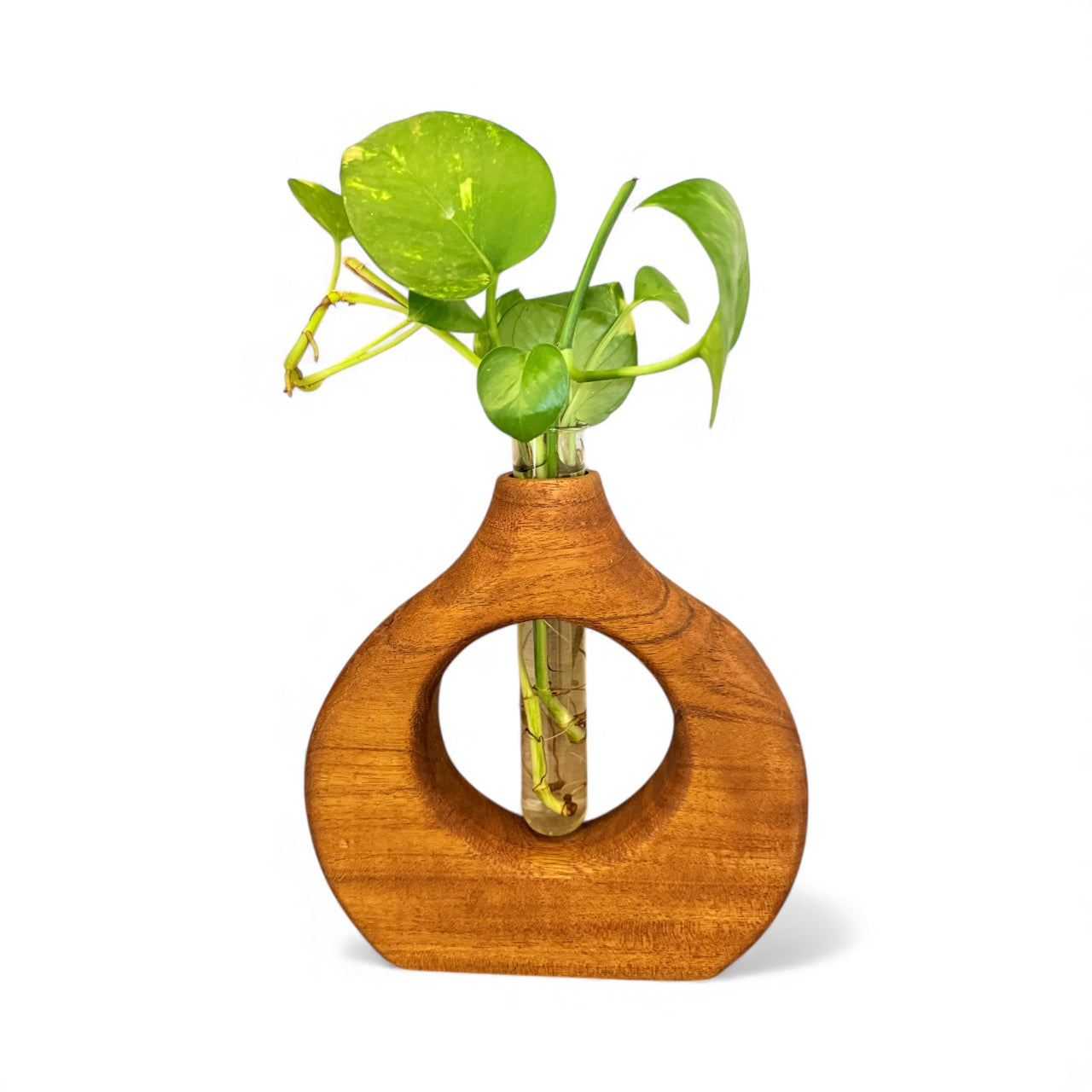 Big Roundshape Wooden Planter
