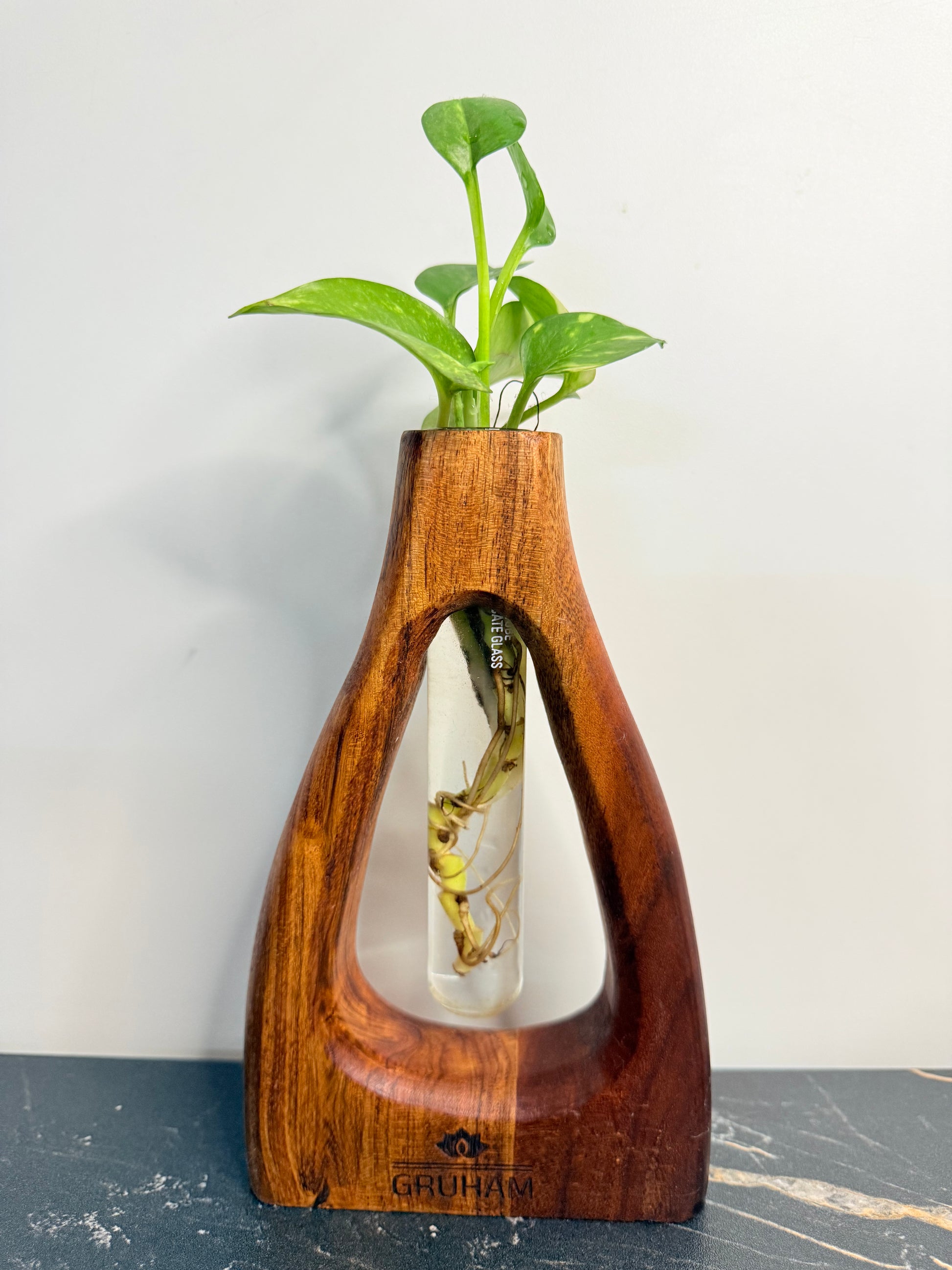 GRUHAM D-Cut Wooden Planter size and dimensions for small indoor plants and table decor