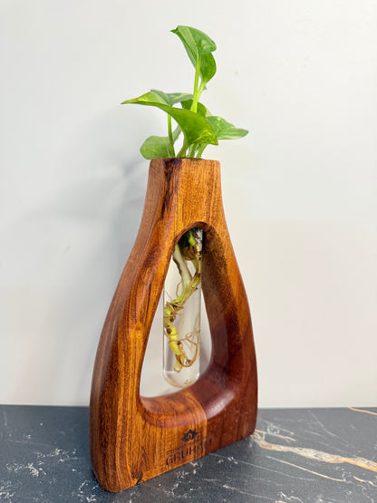 GRUHAM D-Cut Wooden Planter displayed as part of rustic home decor with greenery
