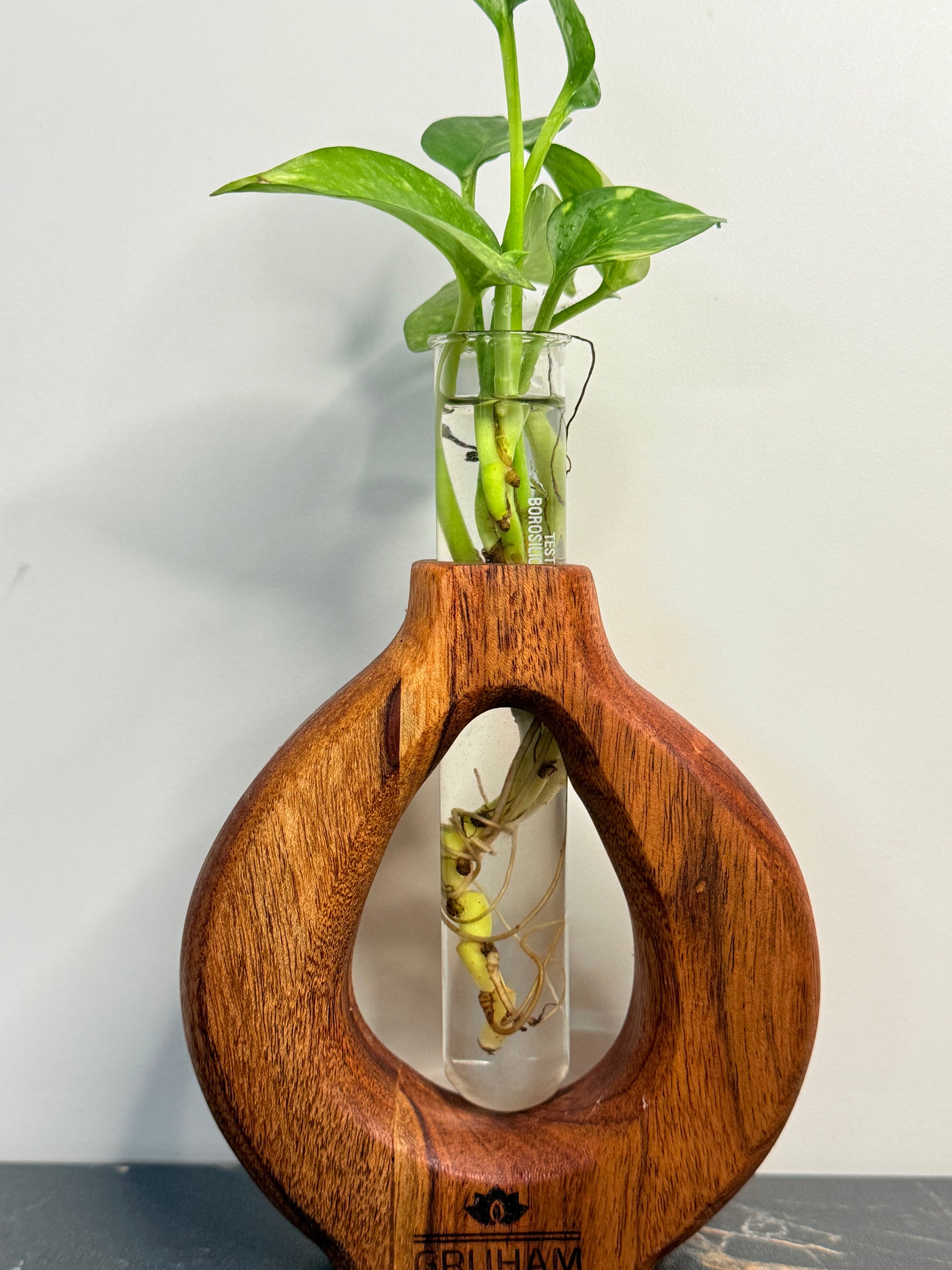 GRUHAM Round Planter displayed on desk with green plant - Rustic indoor decor idea