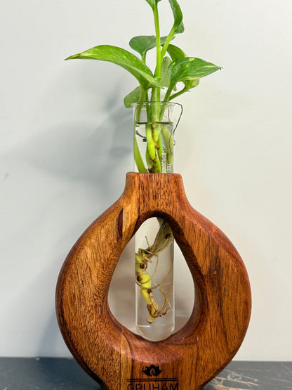 GRUHAM Round Planter displayed on desk with green plant - Rustic indoor decor idea