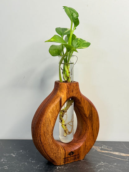 GRUHAM Round Wooden Planter with size and dimensions for small plants and herbs
