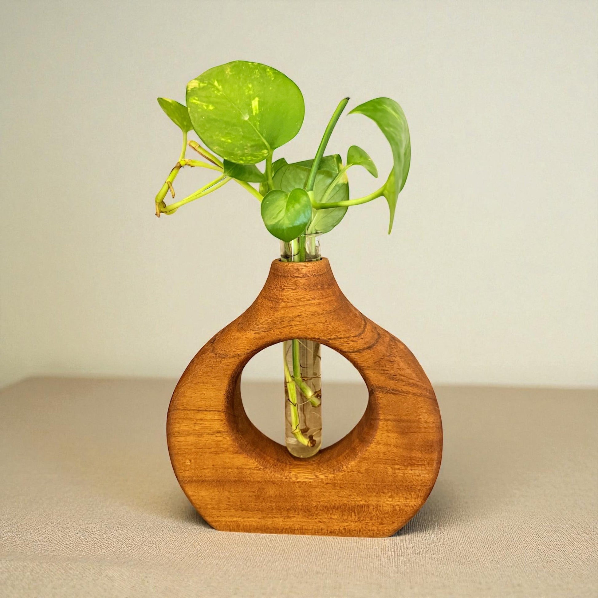 Big Roundshape Wooden Planter